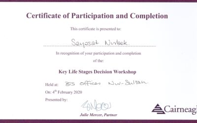 Сертификат Cairneagle Key Life Stage Decisions 2020